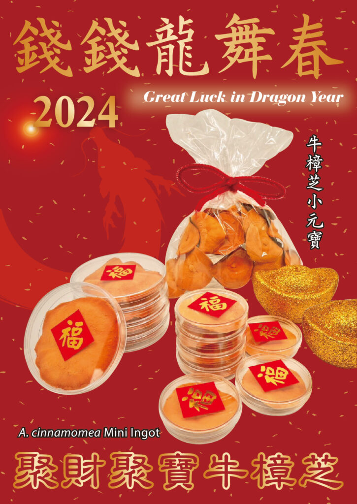生醫文創長輩圖 2024年 2 biomass esg antrodia 龍年 新年快樂 樟芝 牛樟芝 子實體 樟芝酸 皿培 原片 元寶