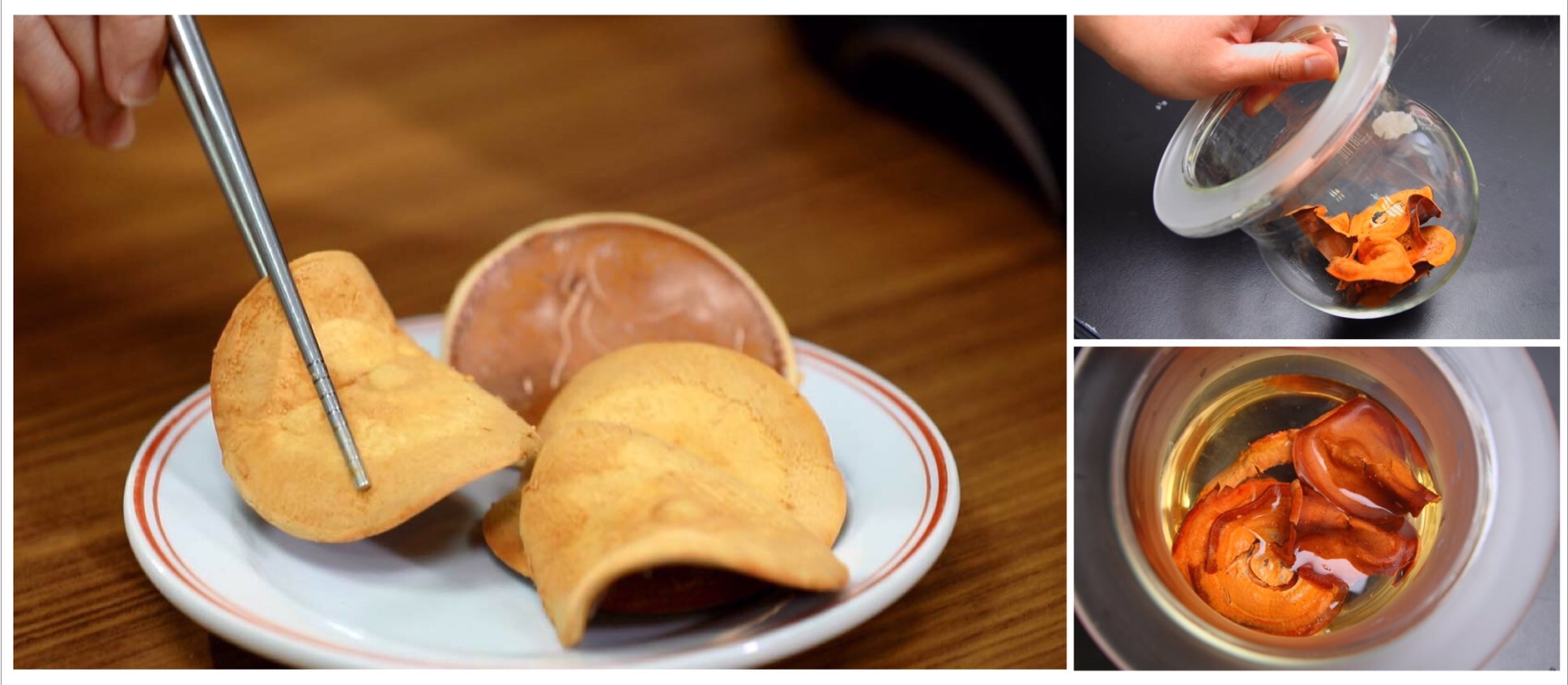 biomass phytochemical esg antrodia 植化素 皿培 牛樟芝 子實體 大健康 大家醫 全齡健康 精準健康