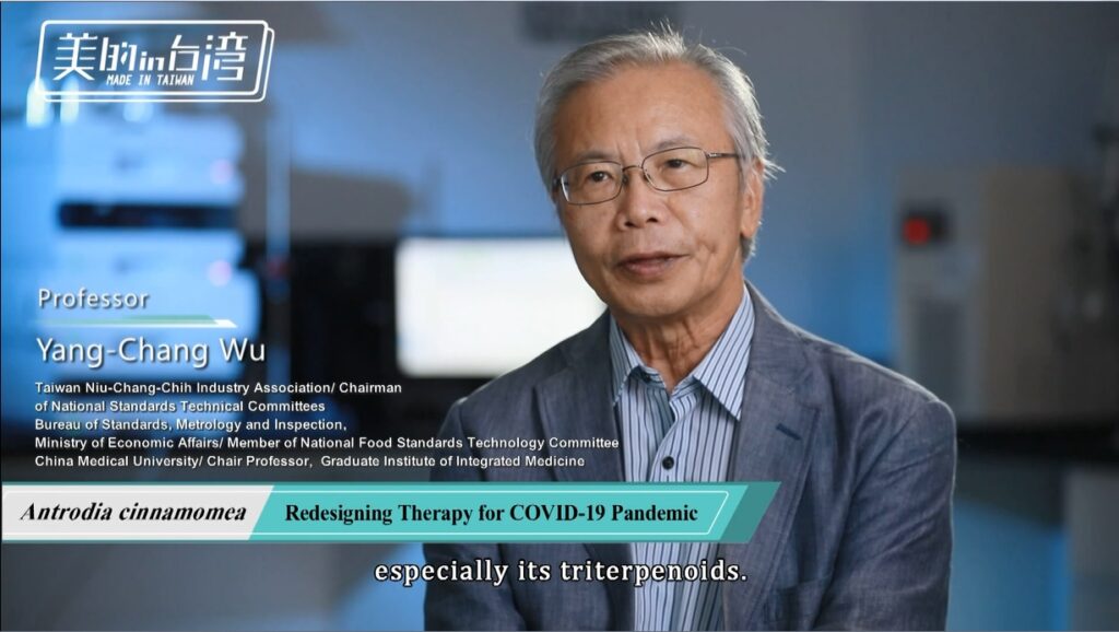 牛樟芝中草藥現代化&癌症精準健康 6 cancer anti-inflammatory antioxidant antrodia Yang-Chang Wu 癌症 抗發炎 抗氧化 皿培 牛樟芝 子實體 吳永昌