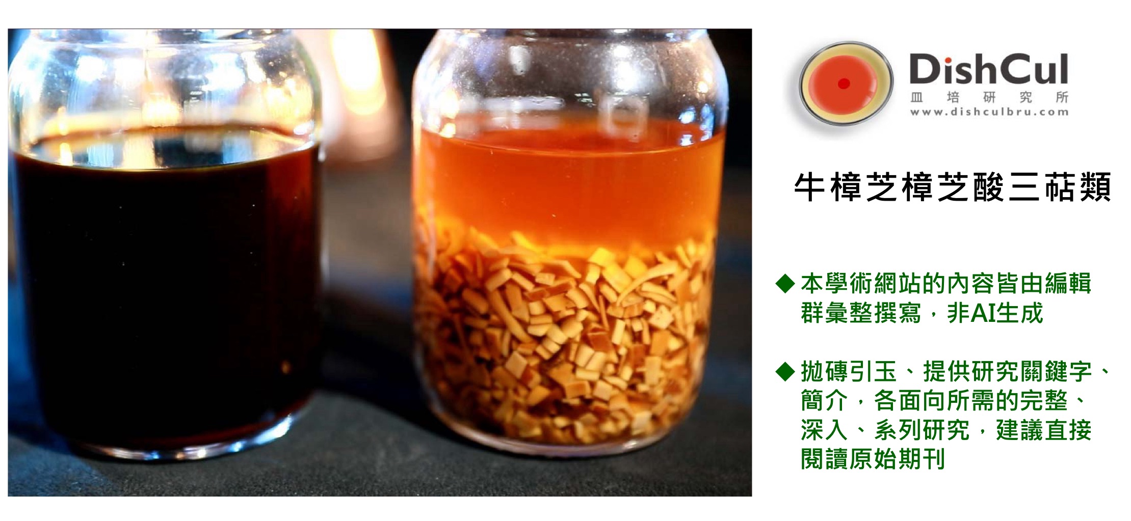 cancer anti-inflammatory antioxidant antrodia HPLC CNS triterpenoid ergostane lanostane 美國藥典 國家標準 植物新藥 麥角甾烷 羊毛甾烷 野生牛樟芝 牛樟芝 樟芝 子實體 菌絲體 皿培 三萜類 樟芝酸 馬偕一號 雲鵬一號 保肝 抗癌 血癌 肺癌 乳癌 肝癌 胰臟癌 糖尿病 高血壓 高血脂 脂肪肝 神經保護 失智症 阿茲海默 帕金森