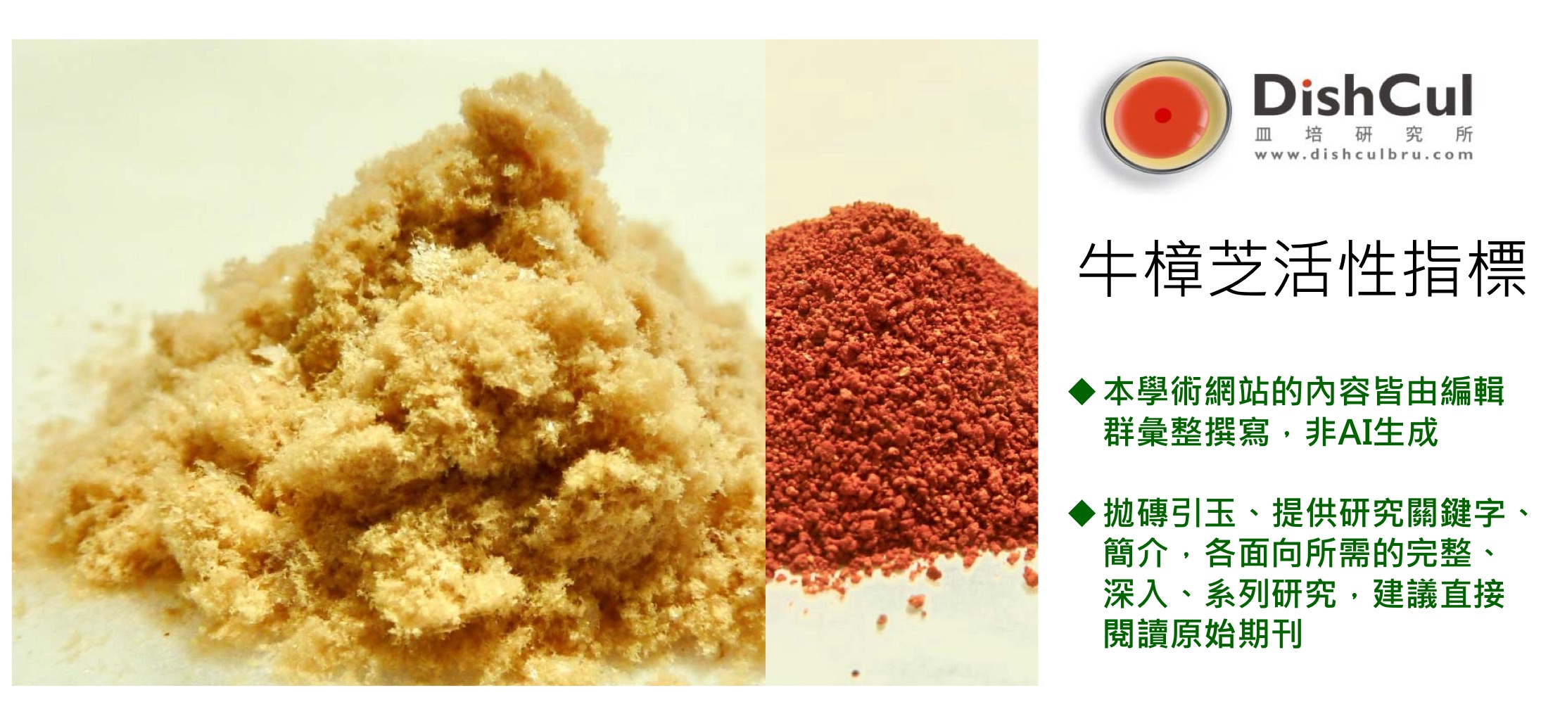 Pharmacognosy polysaccharide glucan antrodia 天然物化學 植物化學 野生牛樟芝 牛樟芝 樟芝 子實體 菌絲體 皿培 三萜類 酚 多醣體 葡聚醣 硫化多醣體 醣蛋白 免疫調節 血管生成 保肝 抗癌 糖尿病 高血壓 高血脂 脂肪肝