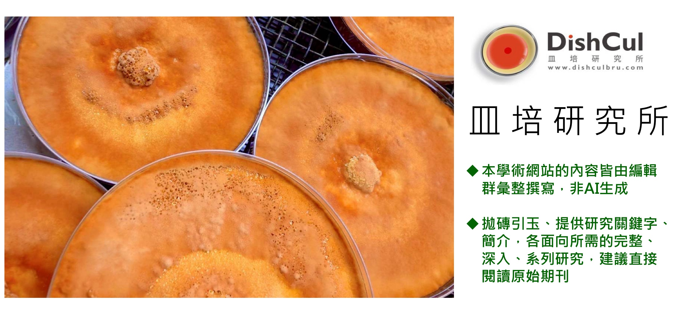 biomass phytochemical esg CDMO cancer anti-inflammatory antioxidant antrodia O2O OMO 植化素 皿培 牛樟芝 子實體 三萜類 樟芝酸 大健康 全齡健康 精準健康 癌症 抗發炎 抗氧化本土 植物新藥 新成分新藥 新藥標的 老藥新用 中草藥 藥食同源 生藥材