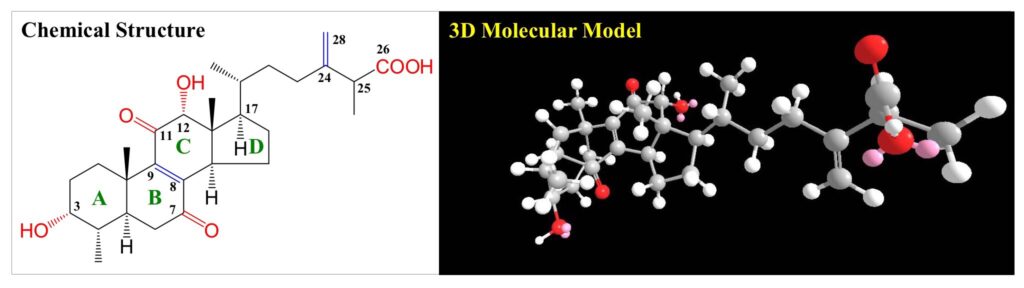 Antcin H (樟芝酸H) 1 biomass phytochemical antrodia CDMO triterpenoid ergostane lanostane 野生牛樟芝 樟芝 牛樟芝 子實體 皿培 皿培研究所 麥角甾烷 羊毛甾烷 樟芝酸 馬偕一號 雲鵬一號