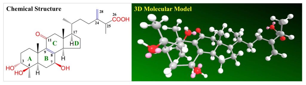 Antcin K (樟芝酸K) 1 biomass phytochemical antrodia CDMO triterpenoid ergostane lanostane 野生牛樟芝 樟芝 牛樟芝 子實體 皿培 皿培研究所 麥角甾烷 羊毛甾烷 樟芝酸 馬偕一號 雲鵬一號
