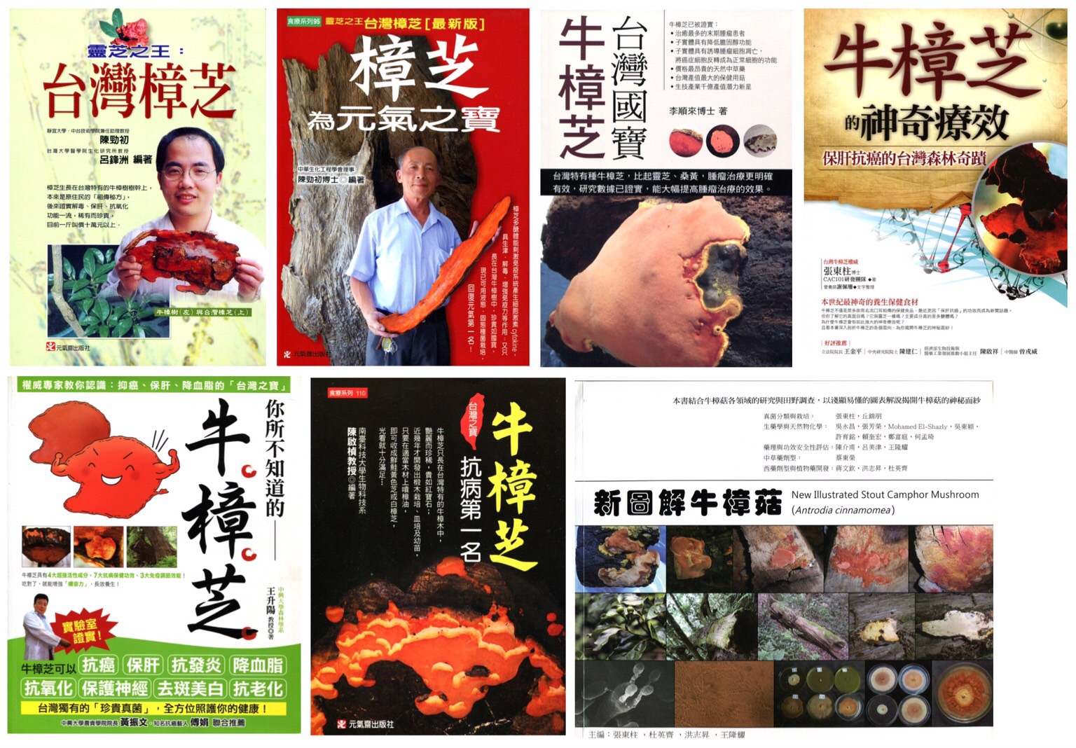 biomass phytochemical esg OMO antrodia SCI Journal Reject Revision Accept Review Paper Book 科普 期刊發表 退稿 期刊 論文 綜論 回顧性論文 專書 博士 碩士 植化素 皿培 皿培研究所 牛樟芝 子實體 三萜類 樟芝酸