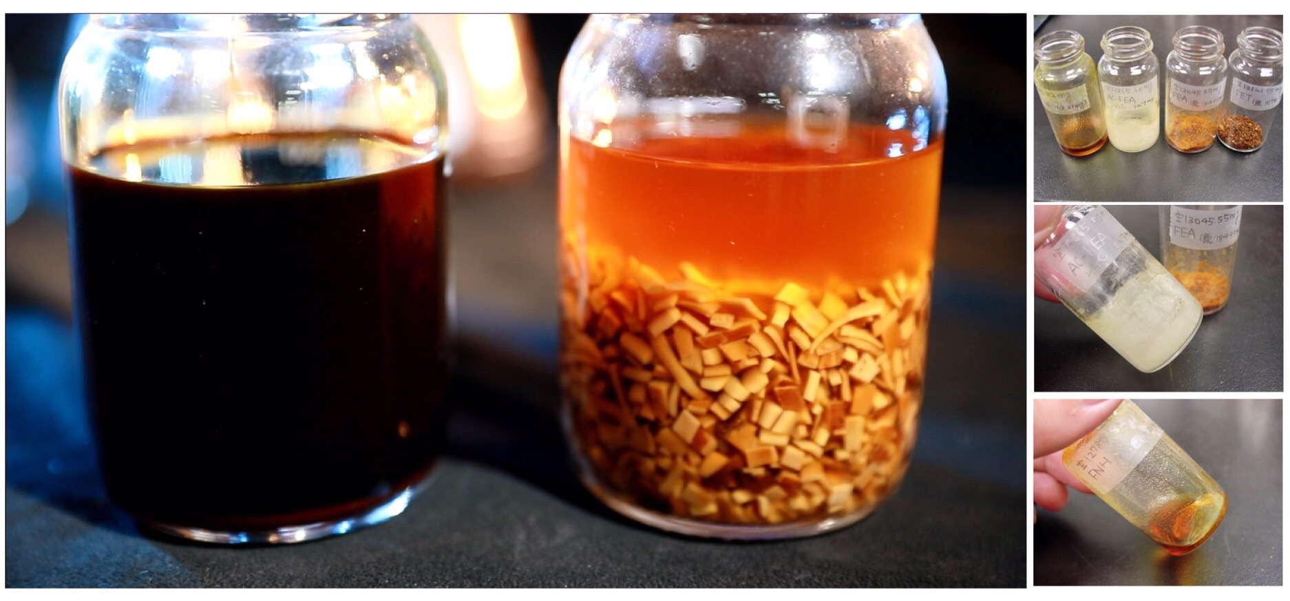 antrodia polysaccharide triterpenoid phenol ergostane lanostane antcin DSA DEA 植化素 皿培 牛樟芝 子實體 大健康 大家醫 全齡健康 精準健康 多醣體 三萜類 麥角甾烷 羊毛甾烷 樟芝酸 馬偕一號 雲鵬一號