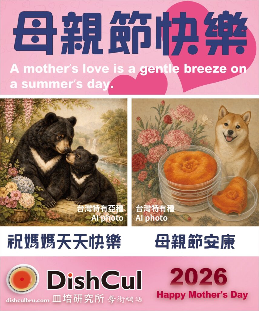 biomass CDMO ESG antrodia AI 母親節 康乃馨 野生牛樟芝 樟芝 牛樟芝 子實體 三萜類 樟芝酸 皿培 皿培研究所 原片